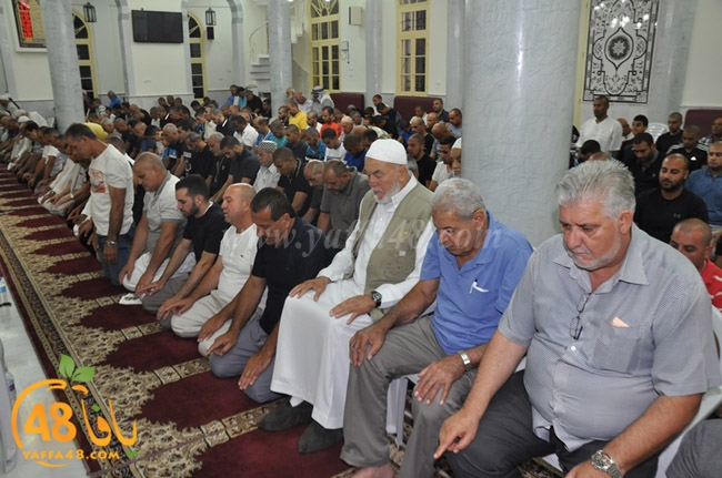 nozha mosqueqk (11).JPG